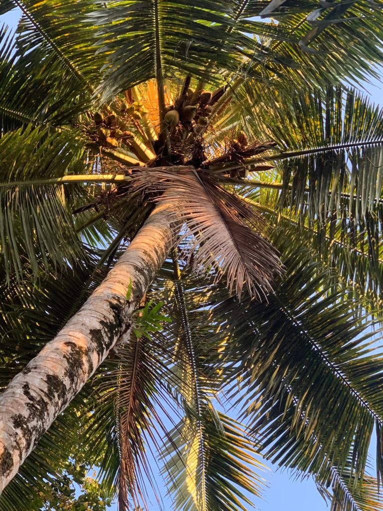 0a297506-8869-40c1-9ed9-f24c63cfa349