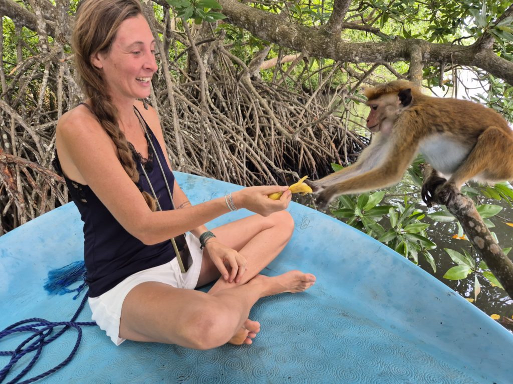 3362061f-a65e-48b4-bb78-0040e331a9b8