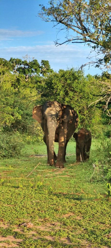 7adc5d5e-56c6-4768-8dc1-0b6825212c3f