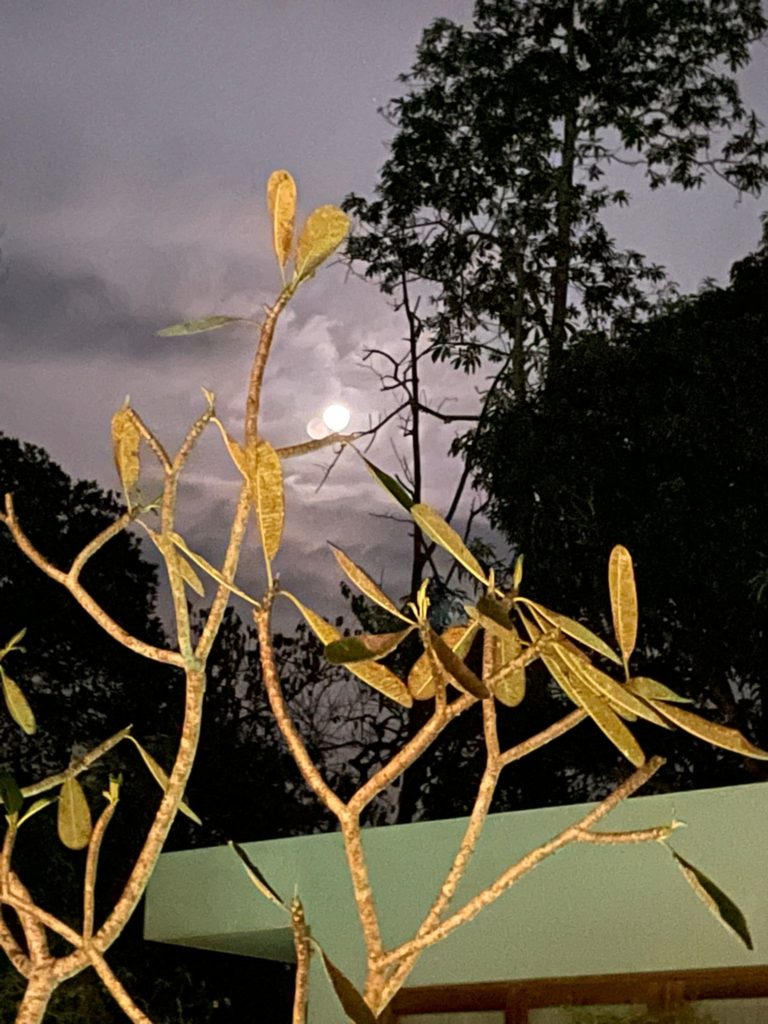 9cea54c9-3306-4470-86f1-a21e91268c1b