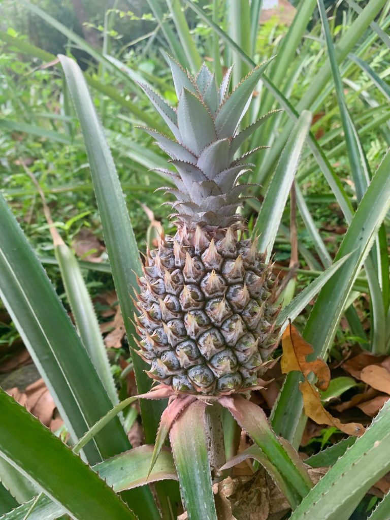 b107f86c-1ba0-4a46-b6b4-9f40c89b96bc