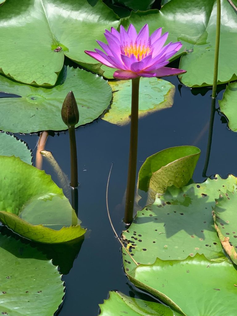 b864fb7a-f080-481b-bba0-4f84b1624578