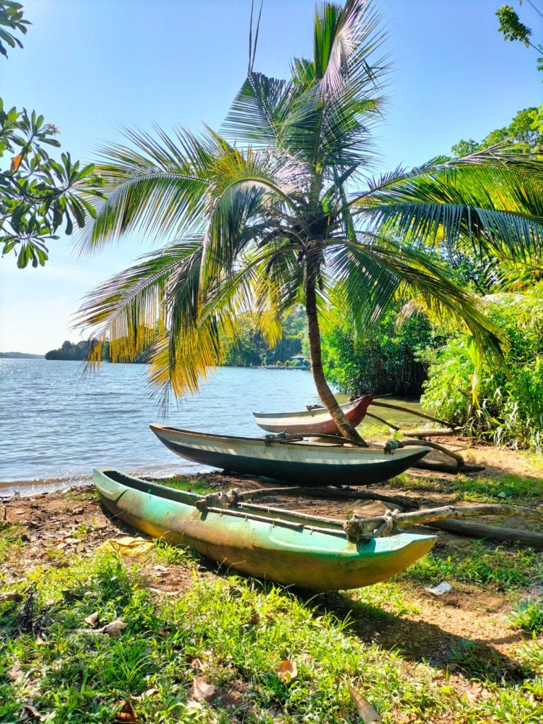 c7fc8929-843c-4c33-bf03-a421b6c89c95