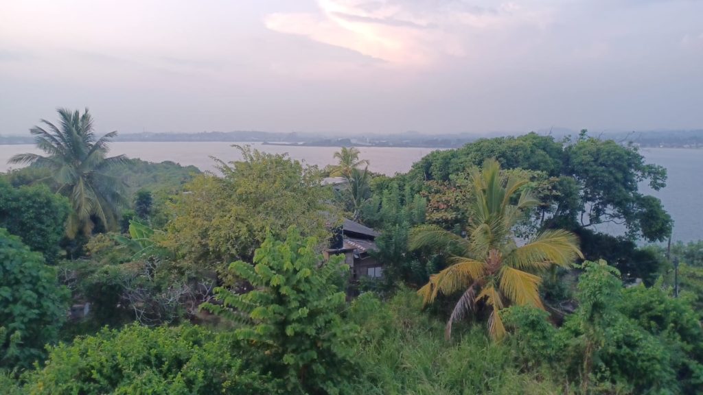 2d2ca83a-b8c5-4e7d-bc1b-a30a879222b2