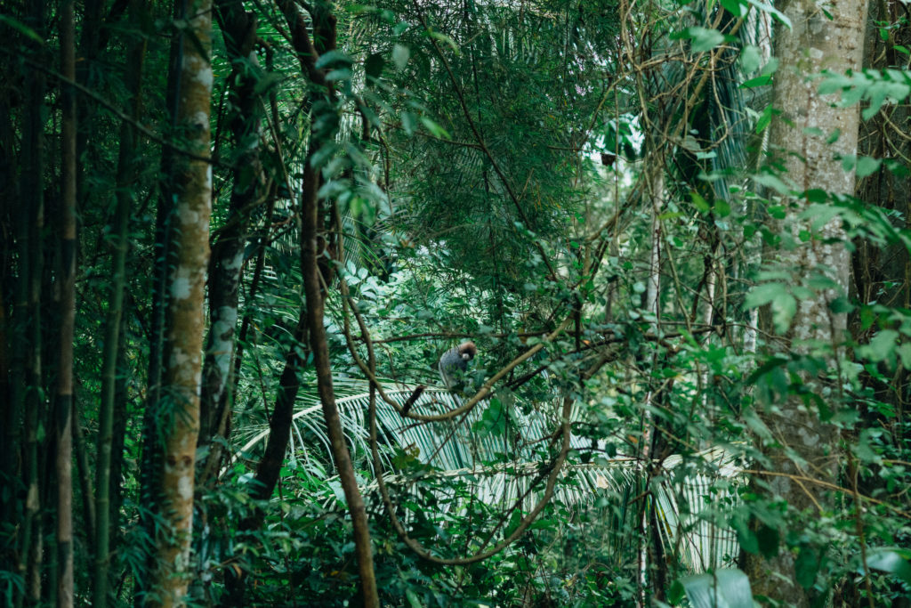 Lanka Yoga 2 November 2023-Dean Raphael-40