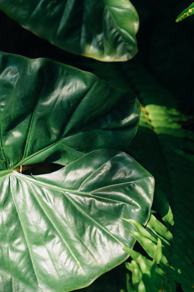 Lanka Yoga 2 November 2023-Dean Raphael-5