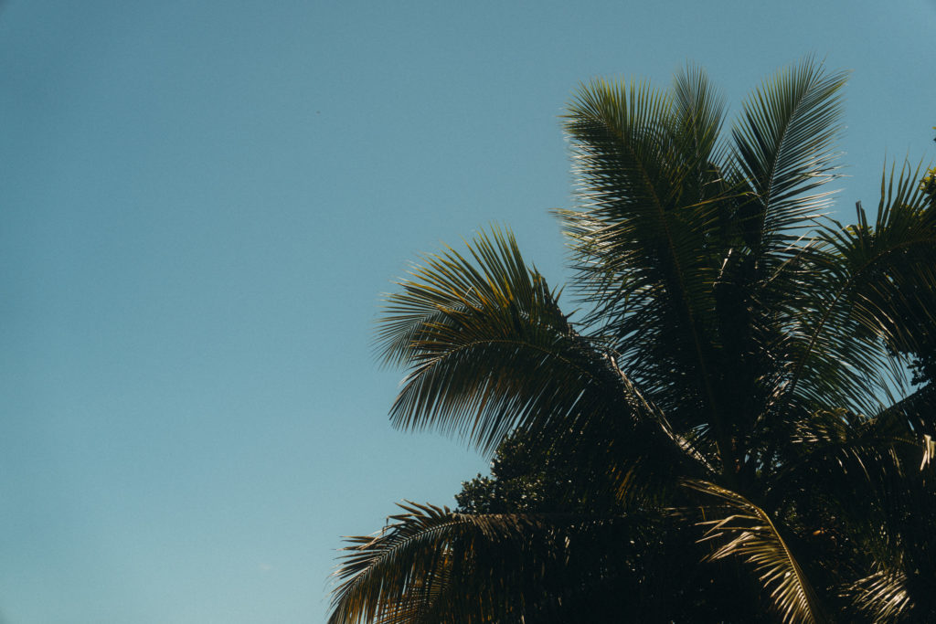 Lanka Yoga Accomadation 23-Dean Raphael-23