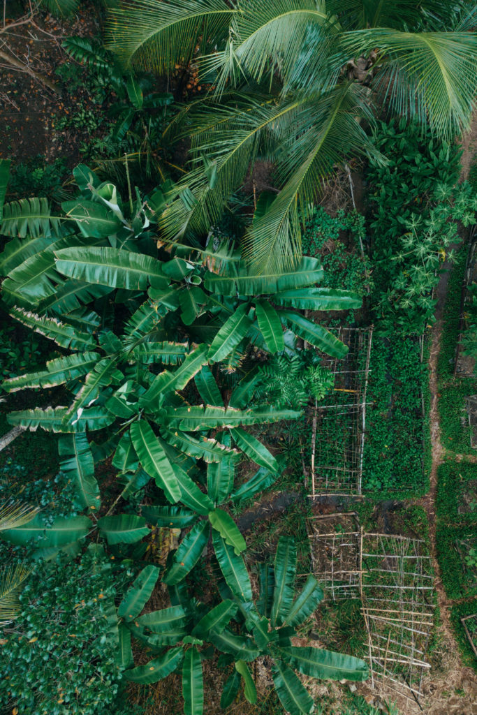 Lanka Yoga Drone November 2023-Dean Raphael-11