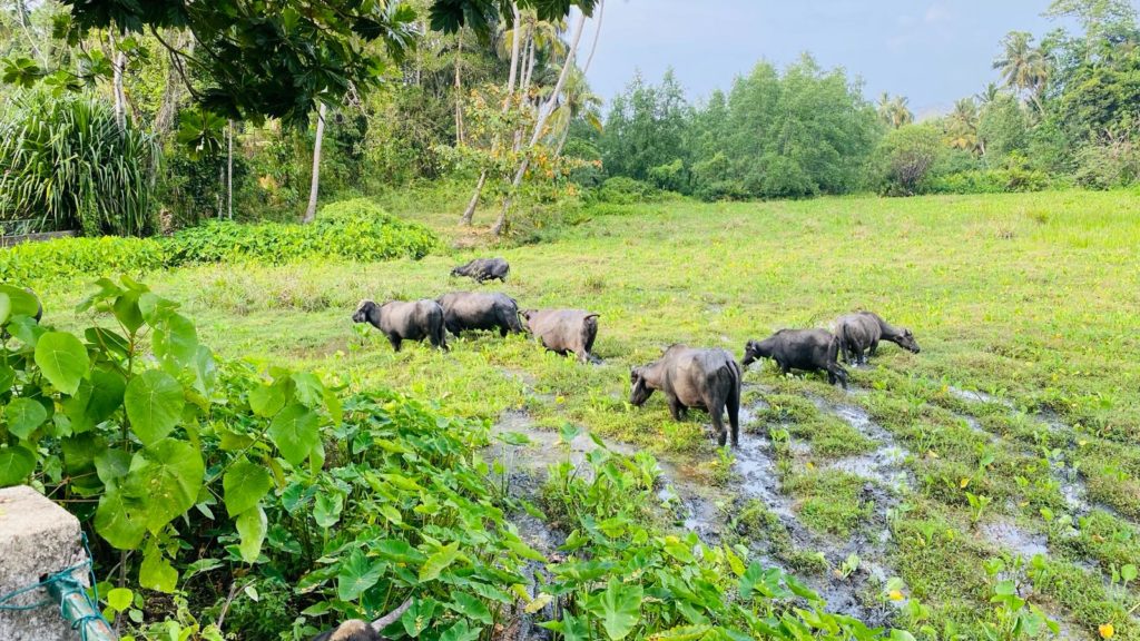 b64cfcc7-8356-459a-99d5-b4e800038f47