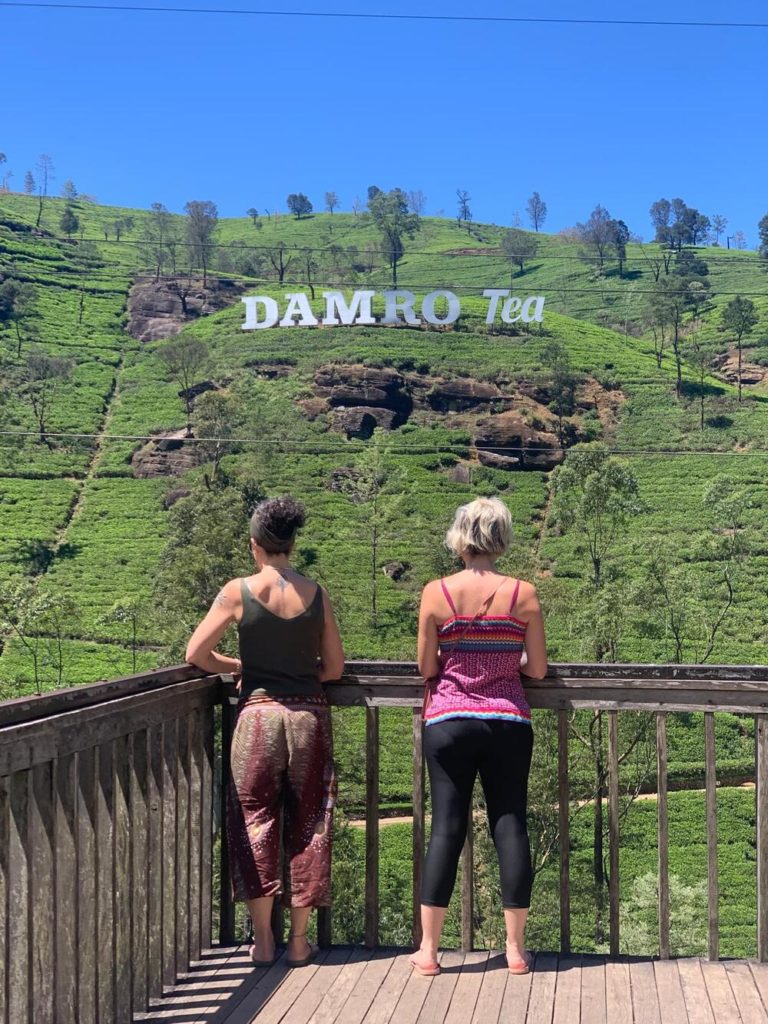 Tea factory tour La maison veda tea factory