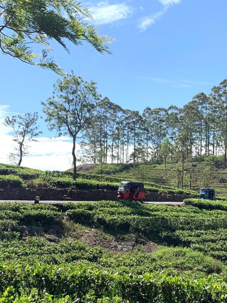 6cbc341f-e847-46ba-b70d-03f4bc5027d5