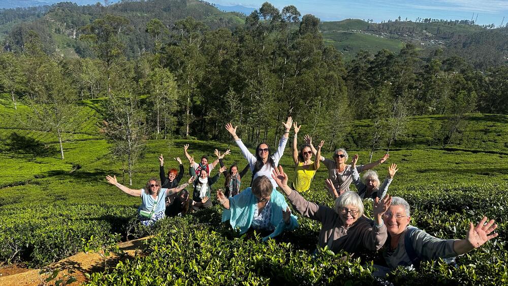 b6f54391-8174-4b80-b5e7-16118262778b