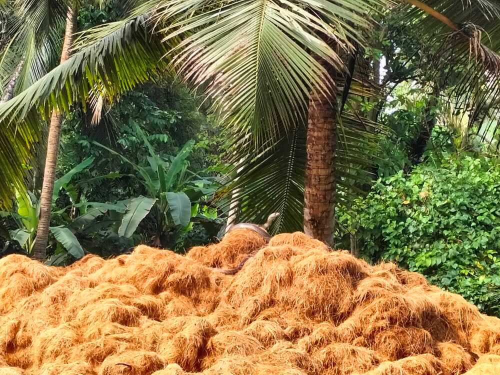 bae62571-3b82-487d-b2d7-f2960bbda237