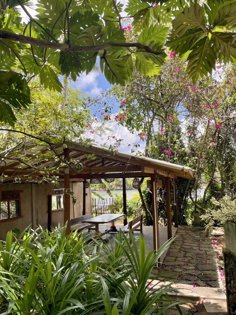 8038665A-9CEC-47A3-B4AE-68B19D90AE02