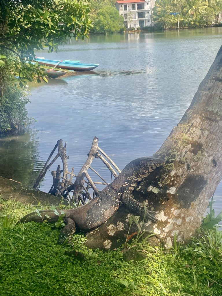 951C2EFC-733E-4E68-B608-C91B313A65F2