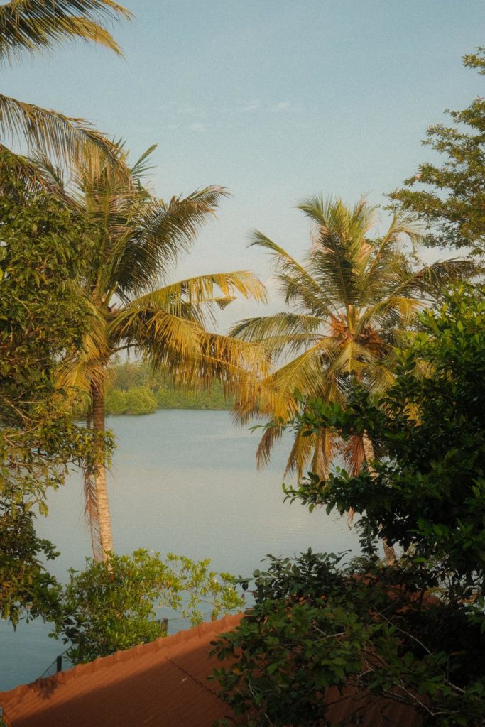 18ed7d26-93bc-48a5-ac0c-1eeb91a182ae